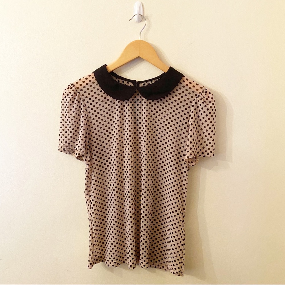 Forever 21 Polka Dot Sheer Top